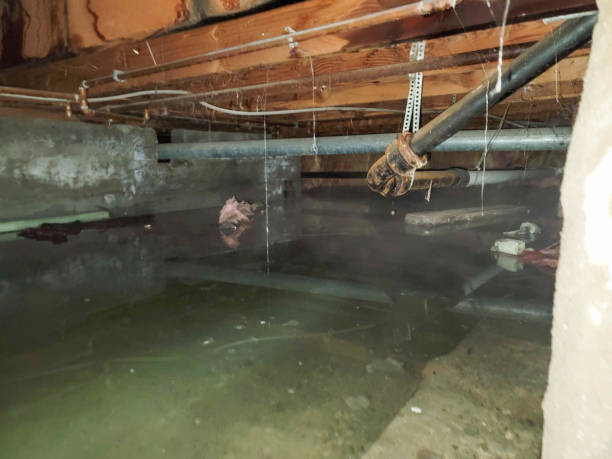 Best Sewage cleanup and water damage restoration  in La Cresta, CA