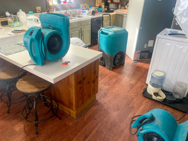Best Water damage mitigation services  in La Cresta, CA