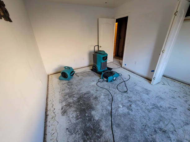 La Cresta, CA Water damage restoration Company