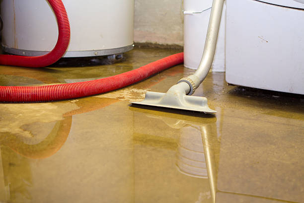 Best Flood restoration services  in La Cresta, CA