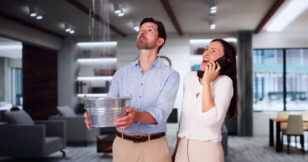 Carpet water damage restoration in La Cresta, CA
